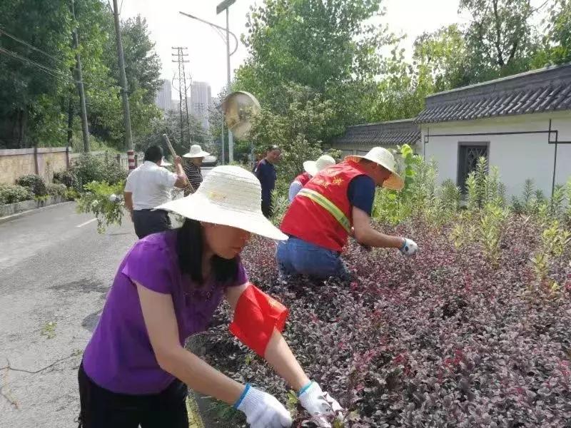 栖霞公路环境整治,栖霞市综合治理