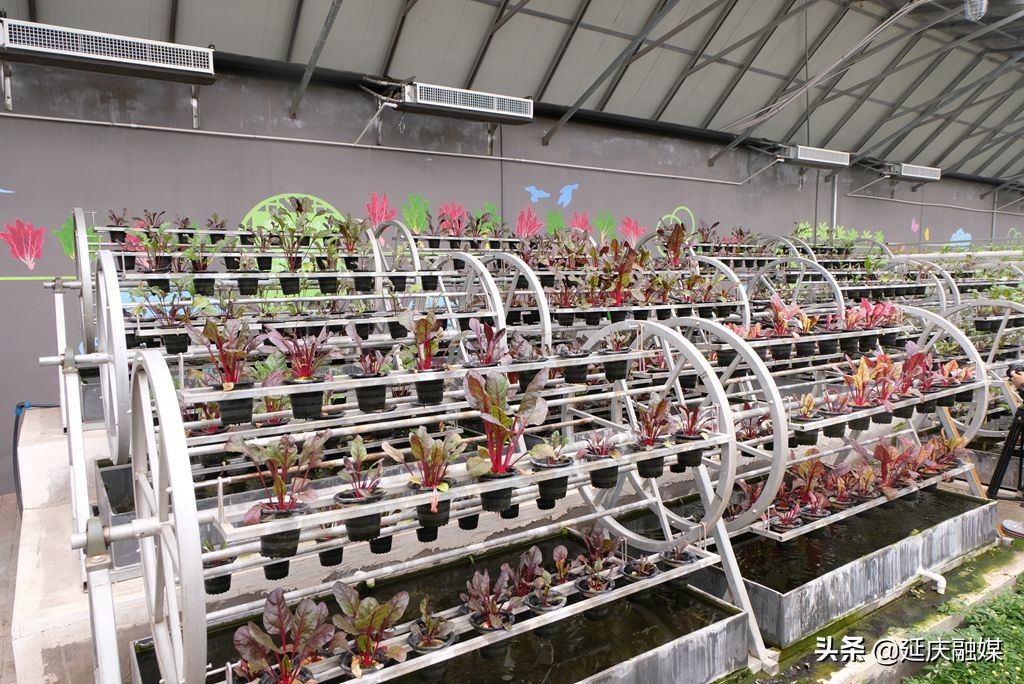 海淀对口帮扶丹江,海淀京津冀协同发展