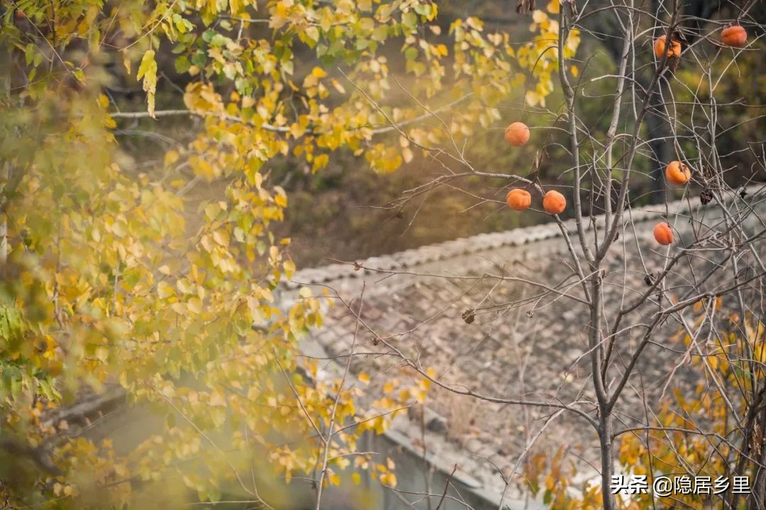 京郊集体出游民宿,京郊团建民宿小院烧烤