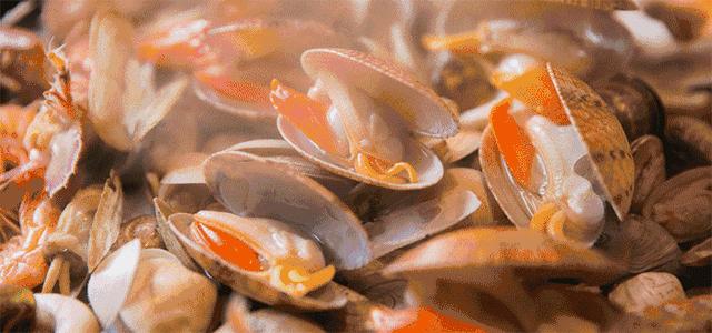 宁波最隐藏的海岛,被浙江人私藏的江南小城