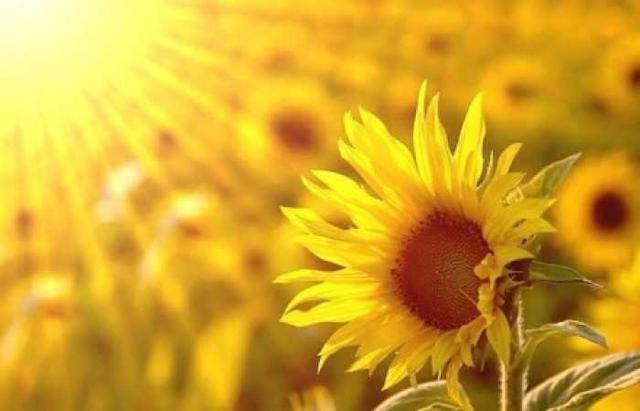 一个人落魄的时候,一个人落魄时才会懂