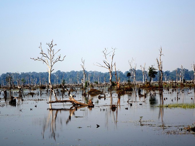 柬埔寨暹粒市旅游攻略,旅游柬埔寨必读完整攻略指南
