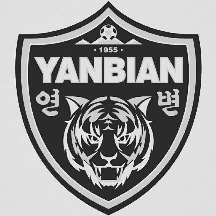 再见中国足球,再见了延边足球视频