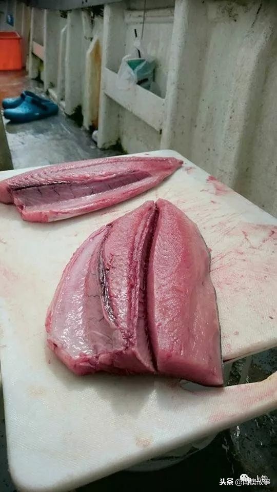 最好的海钓钓位选择,在海钓中如何找到原来的钓点