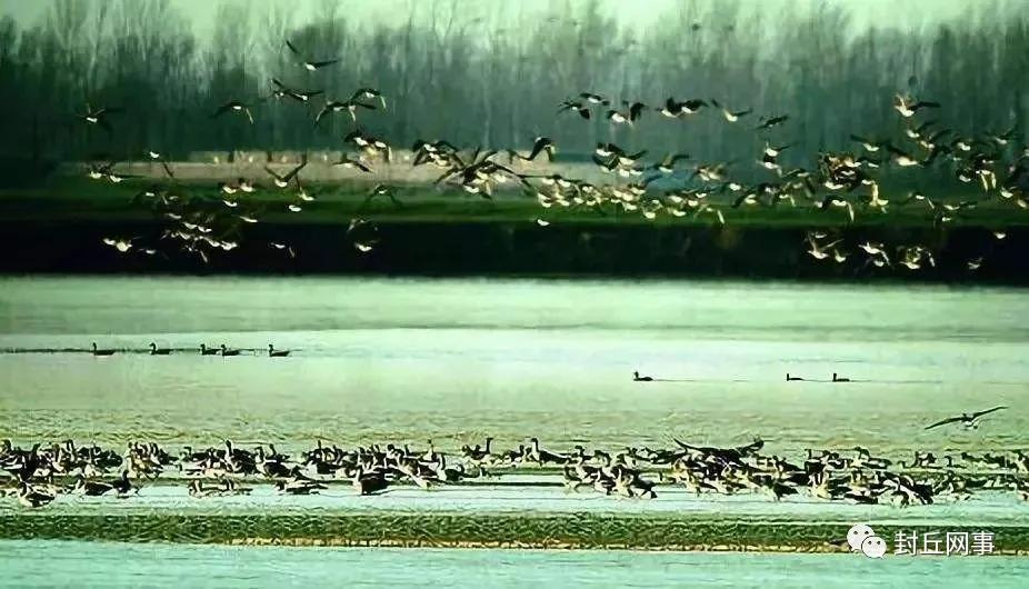 封丘带有长寿之乡的照片,封丘长寿之乡