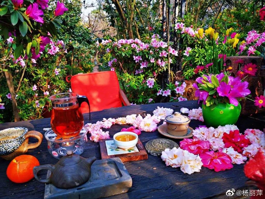 有一种向往叫西双版纳,有一种向往叫诗和远方完整版