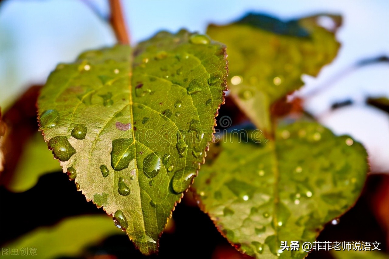八年级上册语文第四单元课后生字,八年级上册语文四单元知识点归纳