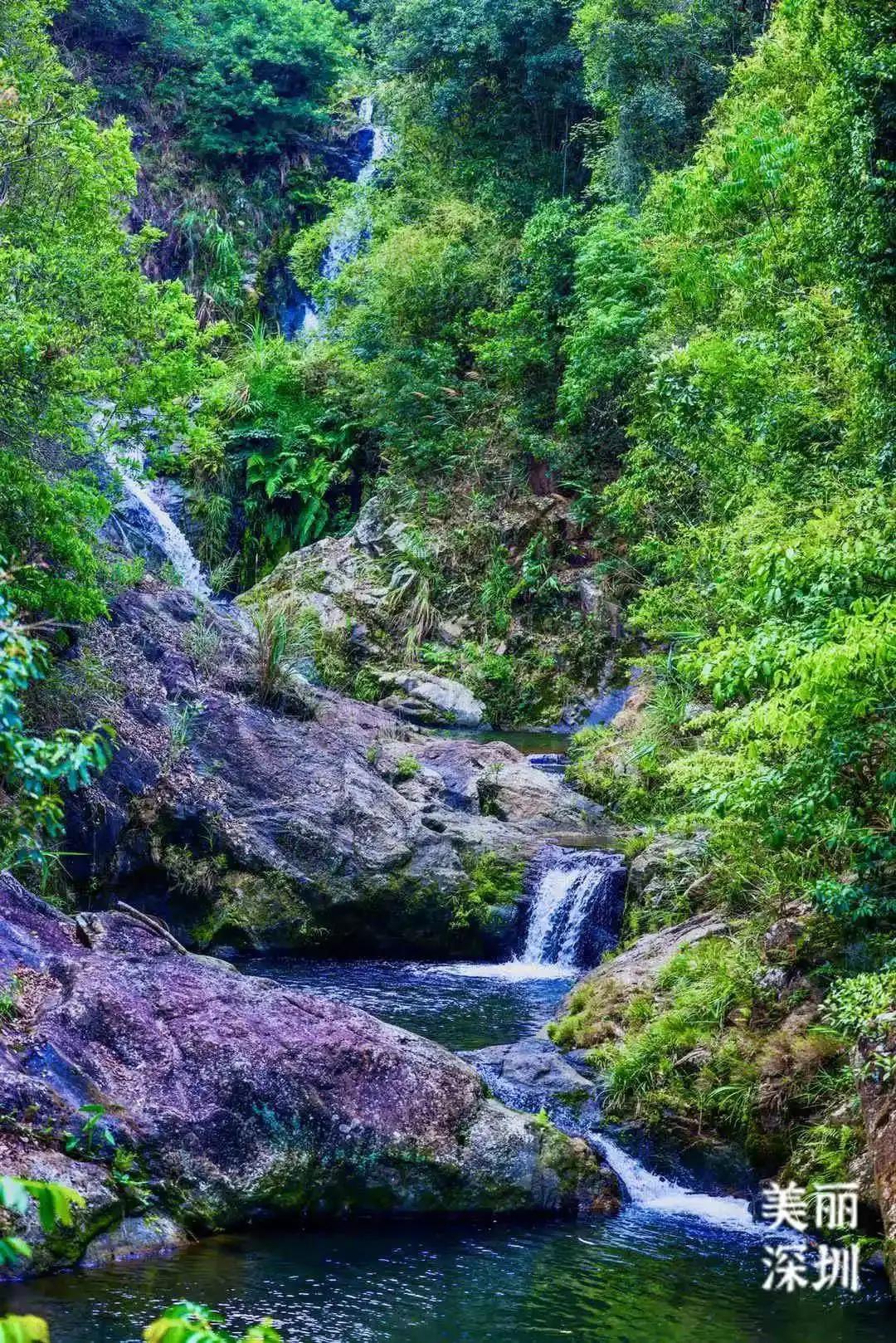 不离深也能“游”|公园超全攻略来了！千园之城，总有一款公园适合你