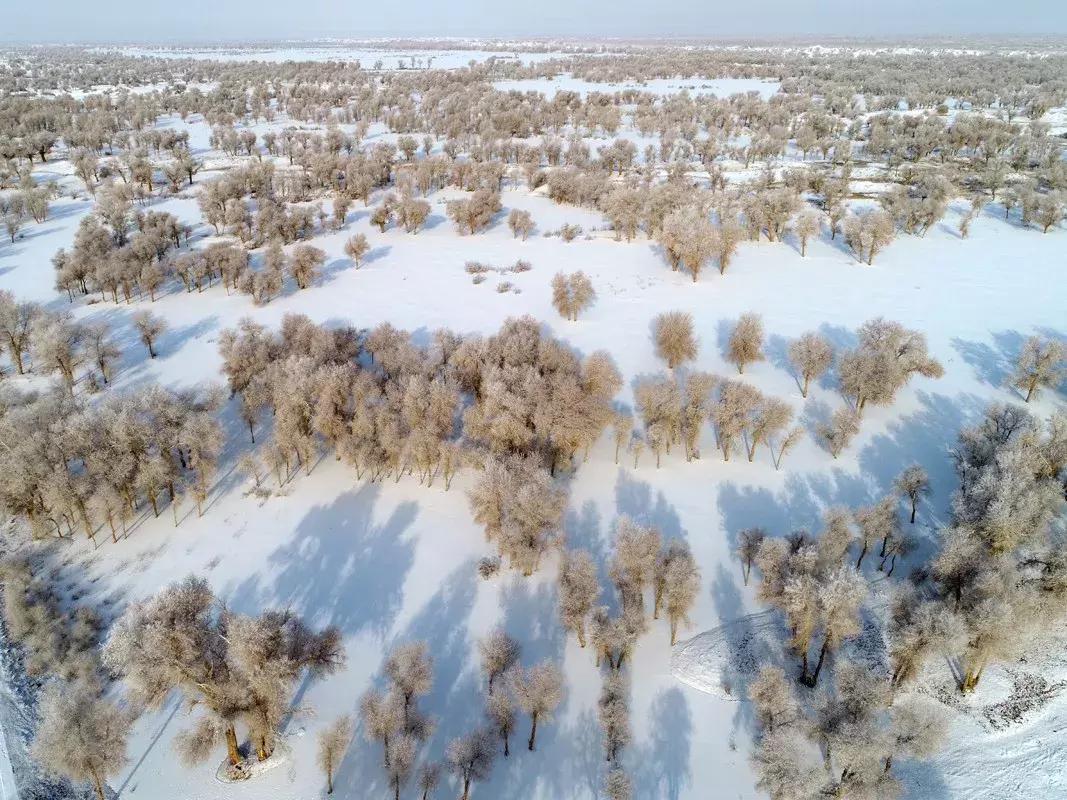 冬天的阿勒泰冰雪,冬天的雪冰雪奇缘