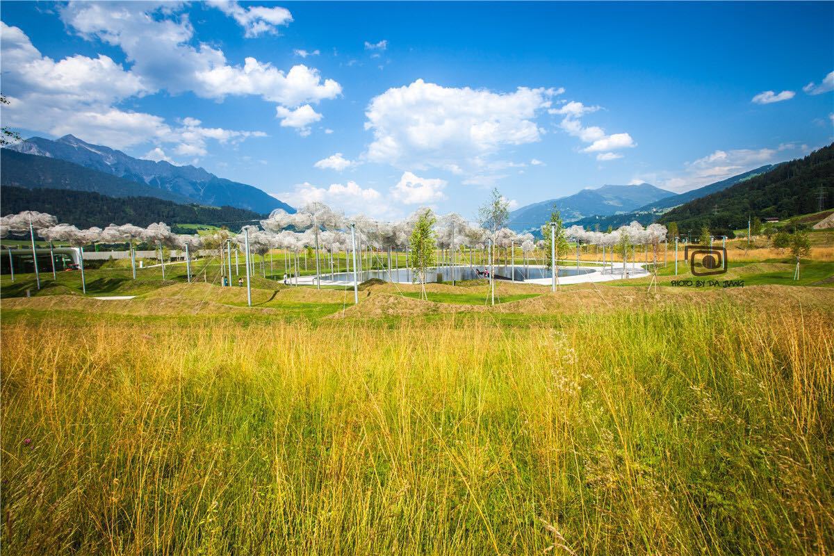 施华洛世奇花漾魔力寓意 (施华洛世奇的花样魔力)