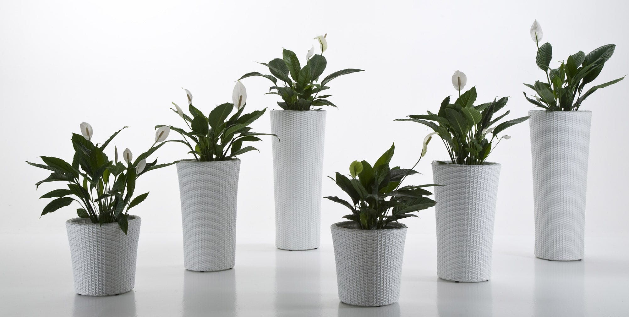 期货品种大全视频,聚乙烯和期货有什么联系