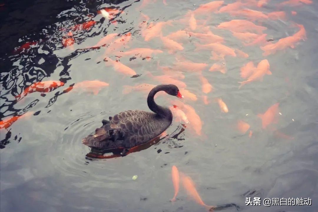 北京的名胜古迹长城,长城故宫名胜古迹