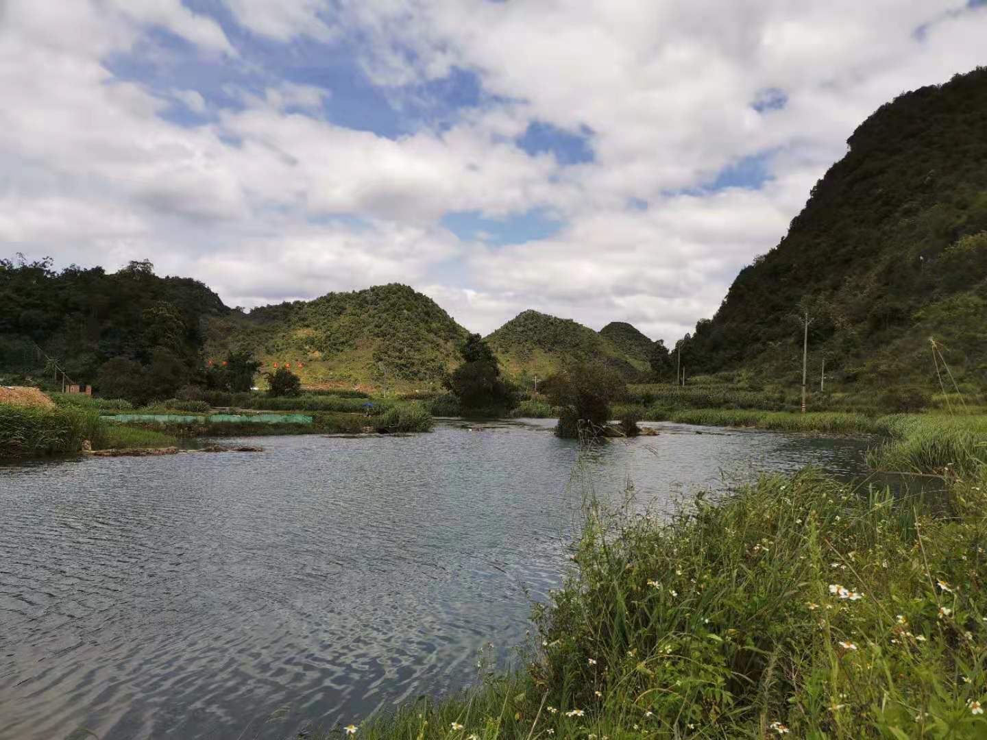 千里打疫苗，狂口大罗非