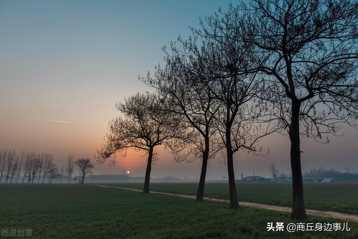 睢县涧岗集老木匠驹爷，一口气生了五个儿子，柱，栋，梁、檩、椽