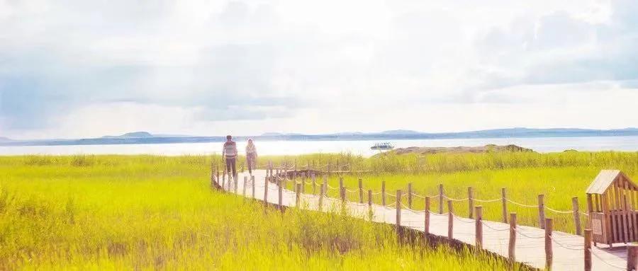 四年级下册英语第五单元letstalk,四年级英语下册unit5