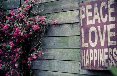 分手后再见面更放不下,分手后放不下情绪反扑