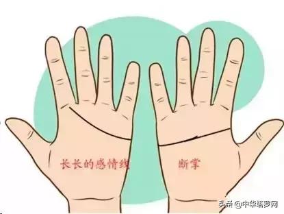 手相之感情线揭露感情的秘密,手相感情线大全图
