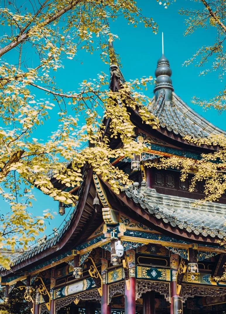 重庆55个景点免费游玩有哪些,重庆五一自驾游1天最佳路线