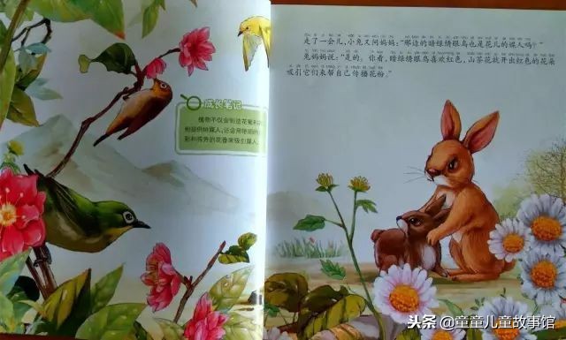 花儿的媒人绘本故事,儿童绘本故事春天的故事