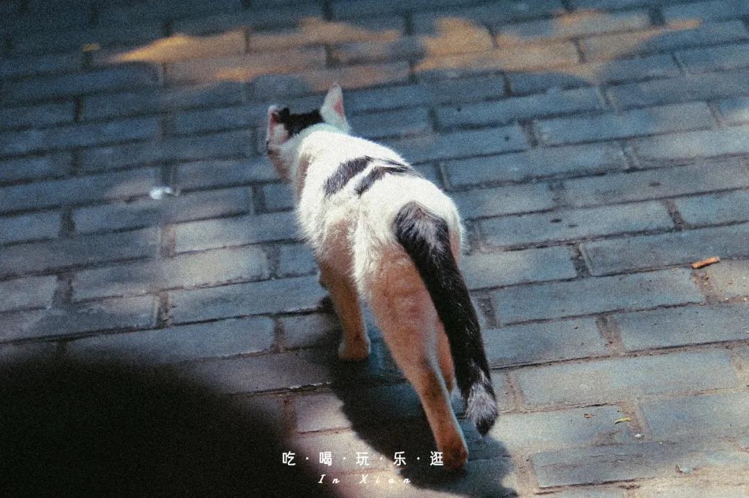 西安教场门现状,西安未消失的教场门