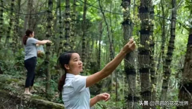 黔东南世外桃源,黔东南春节游玩推荐