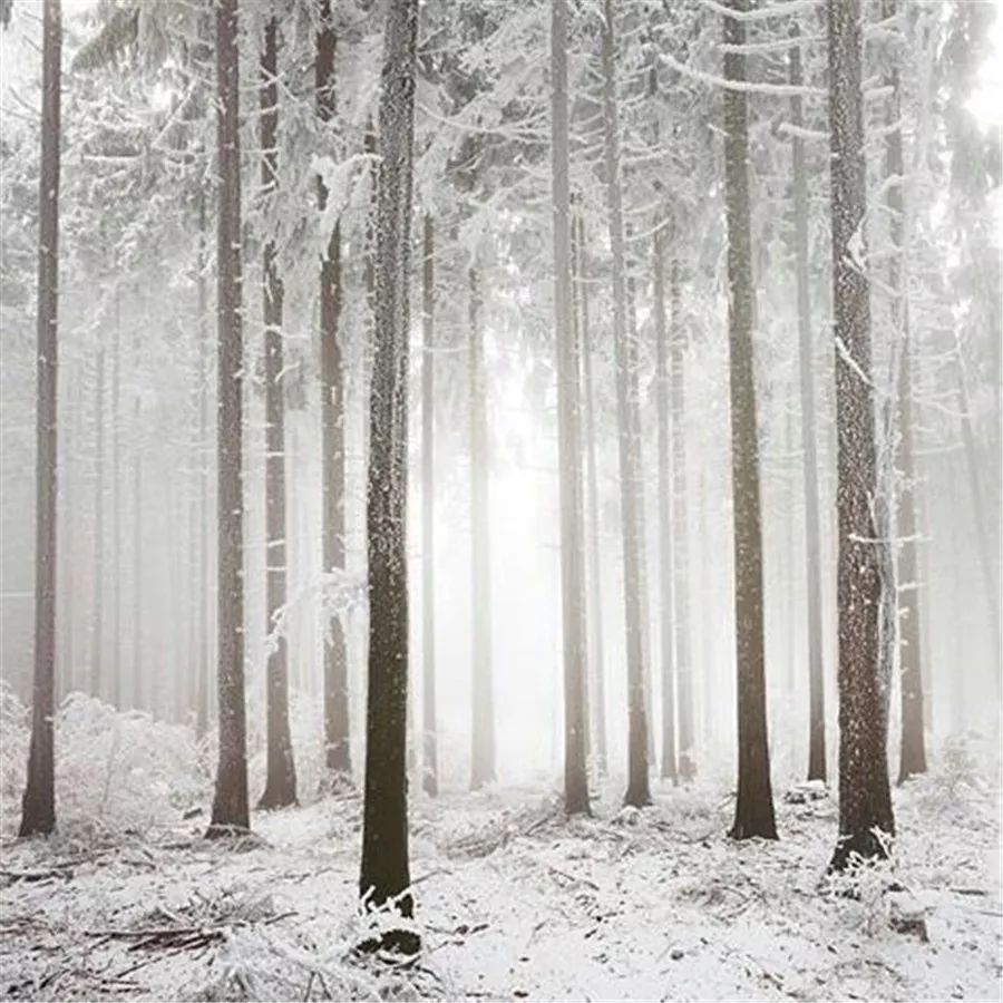 鍥涘缇庢爲,鐢板洯缇庢爲