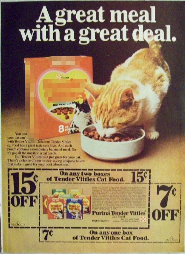 辟谣别再相信猫咪养不熟,辟谣猫咪并非黑夜都能看得清