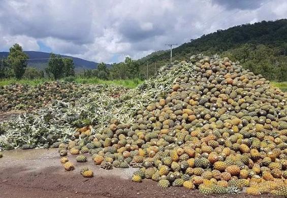 澳洲彻底惹恼中国买家，当地特产没人买单，澳洲人这次甩锅给谁？