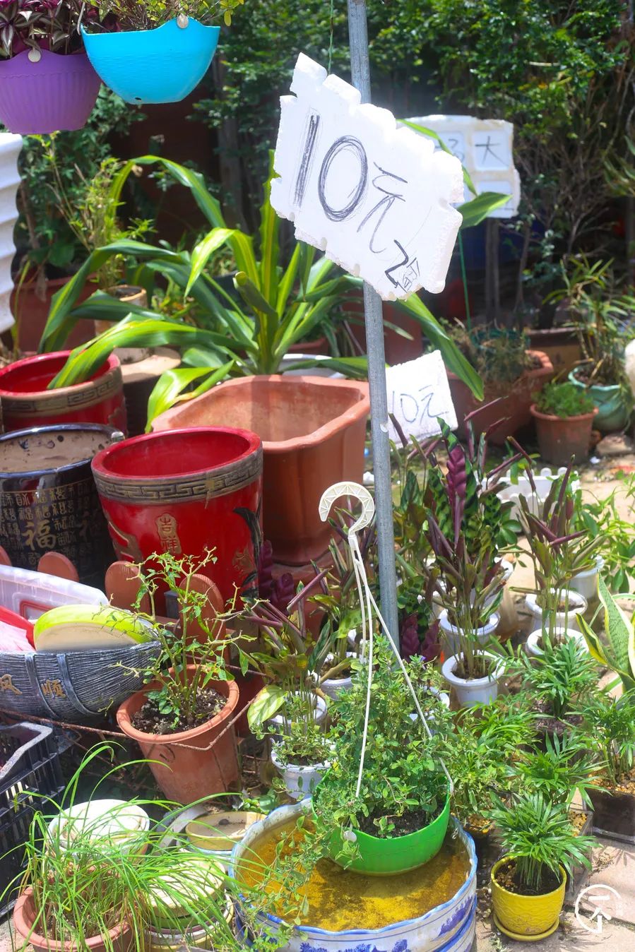 深圳布吉房租走势,布吉租房大概是什么价位