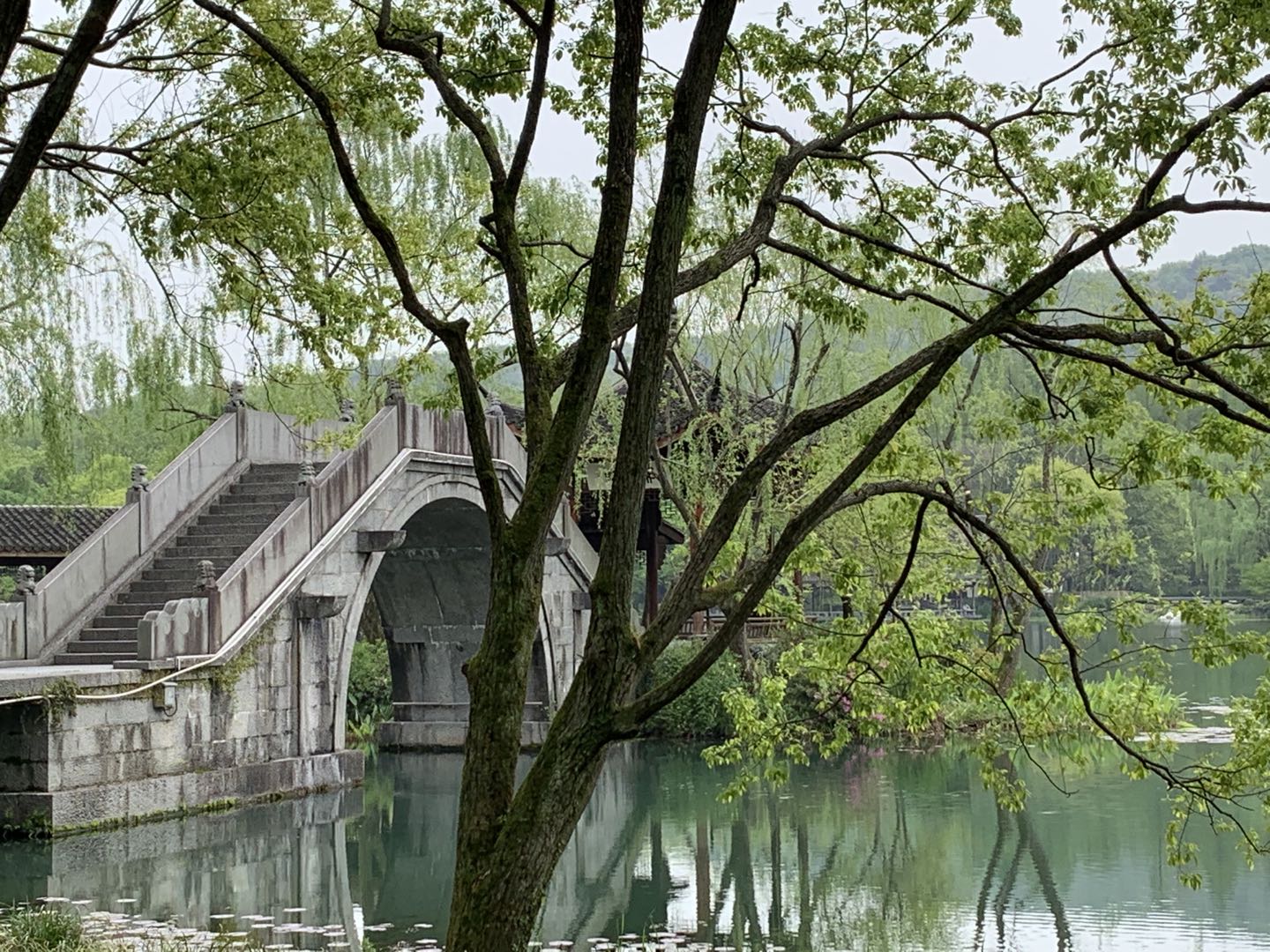 浴鹄湾茅家埠乌龟潭步行路线,浴鹄湾景区