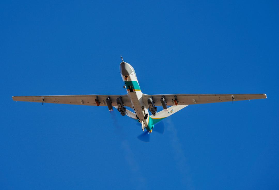 好霸气的翼龙,起飞的翼龙