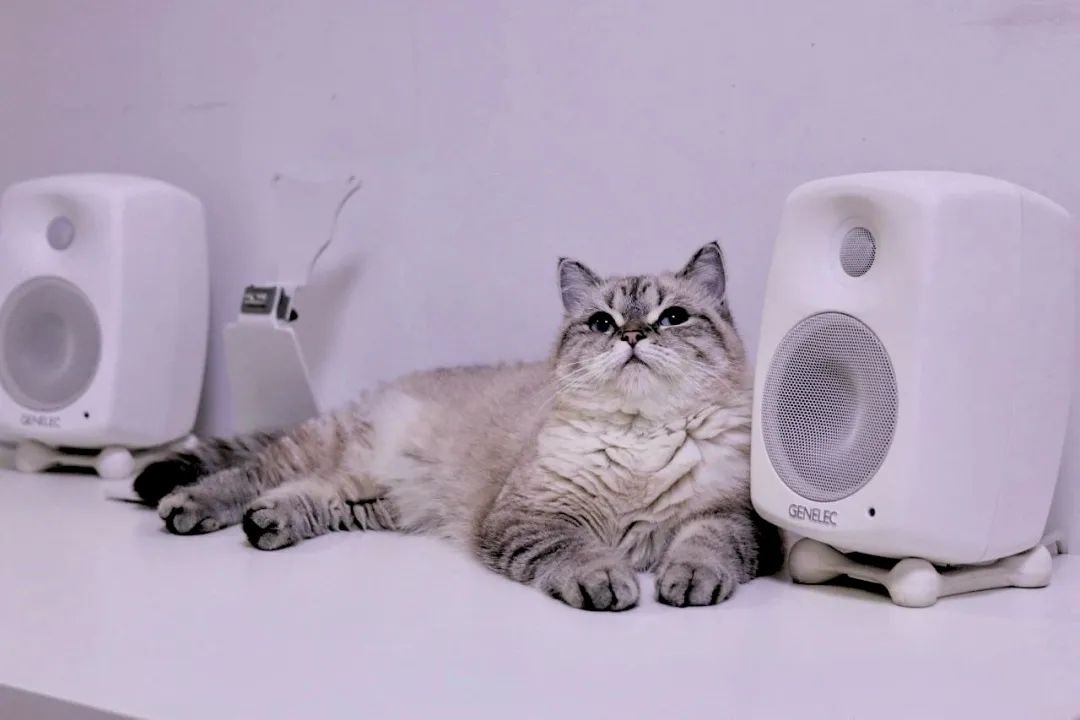 有一种力量叫党的信仰,genelec真力测评