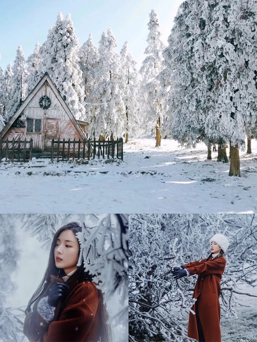 南京到重庆游轮旅游价格表,从南京坐游轮到重庆多少钱