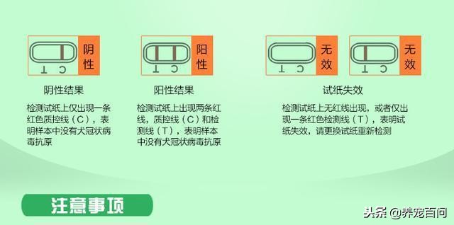 狗狗腹泻呕吐最快缓解方法,狗狗喂了螃蟹后呕吐拉肚子