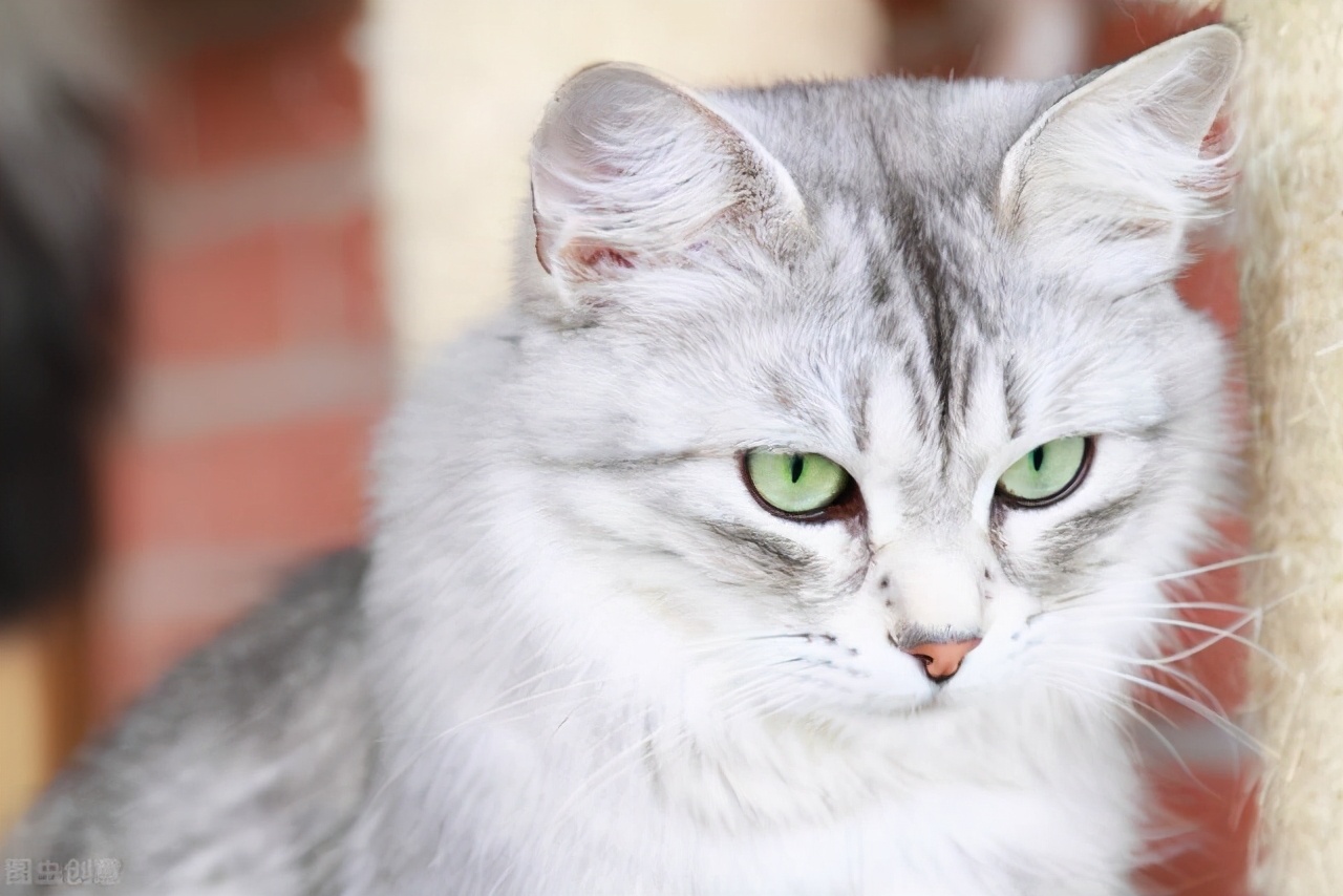 喝细菌汤，涂病人呕吐物，科学家靠“自虐”获得搞笑诺贝尔奖