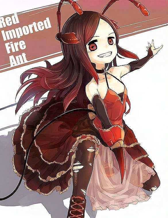 从物理驱蚊开始,如何物理驱蚊灭蚊