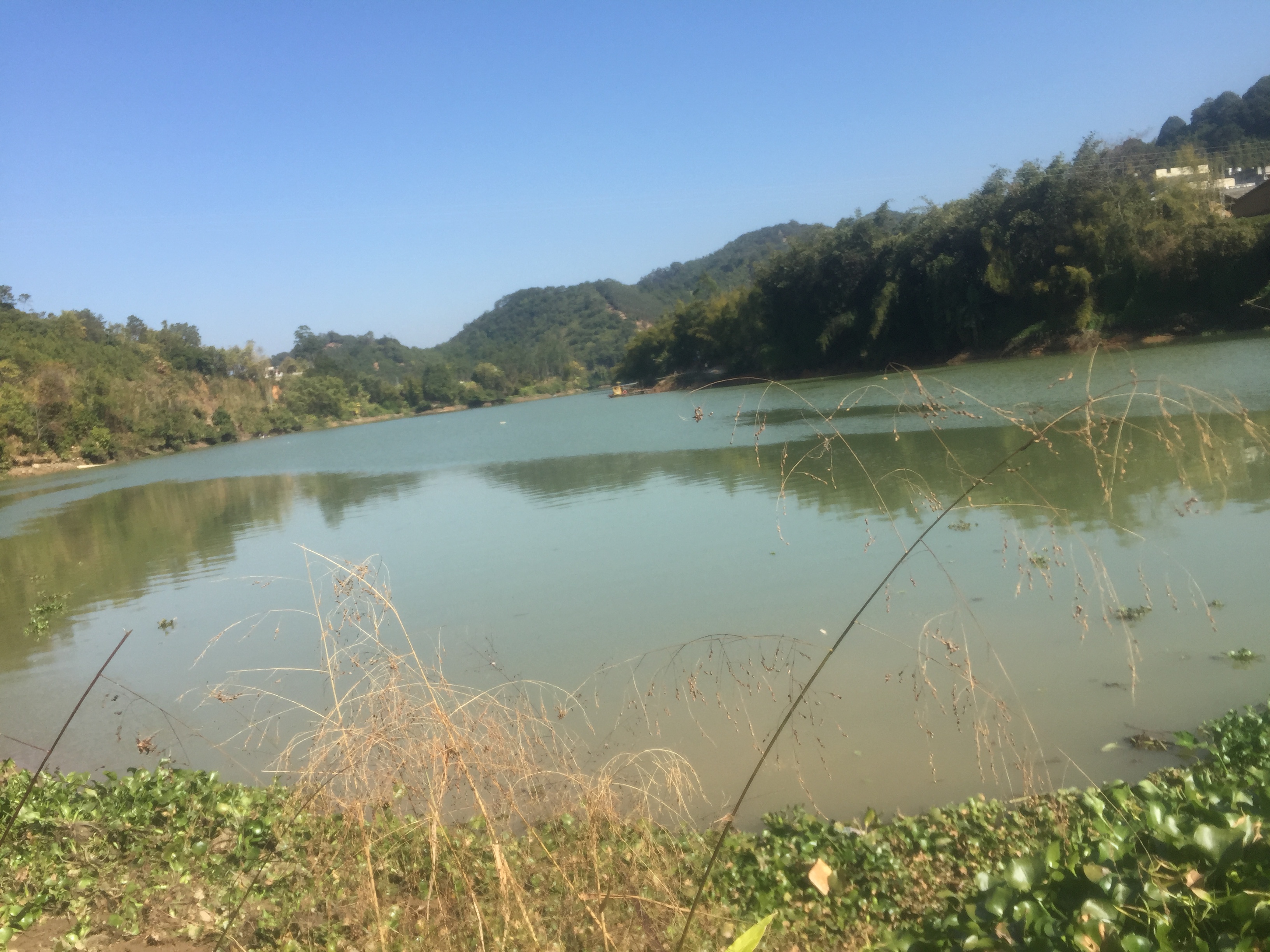 弹丸之地容县，何以能够成为“岭南五府”之一