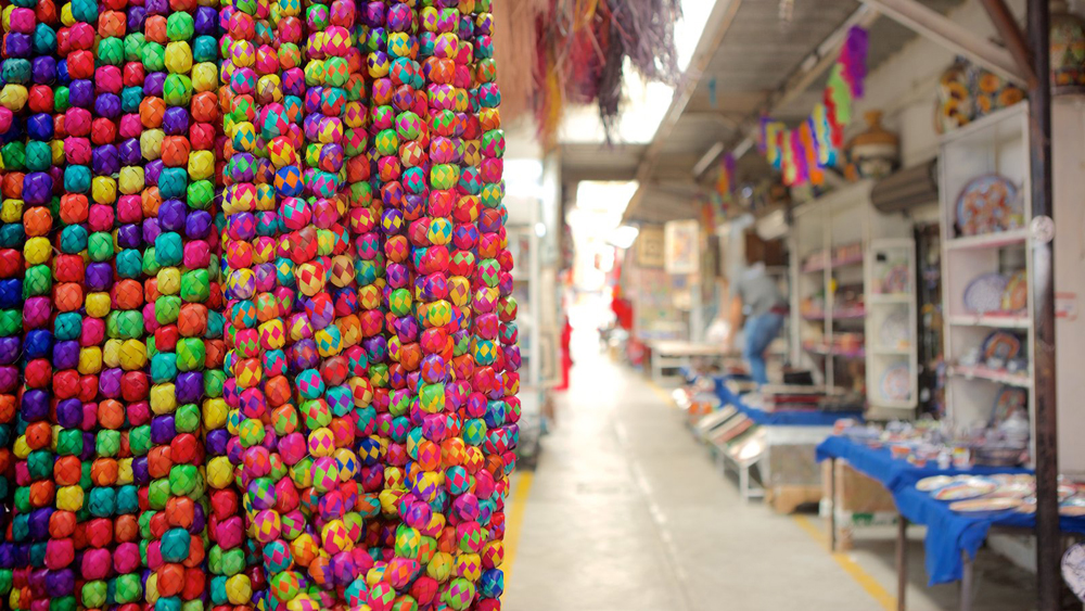 EATWILDLYINMEXICOCITY墨西哥城：食在野（二）