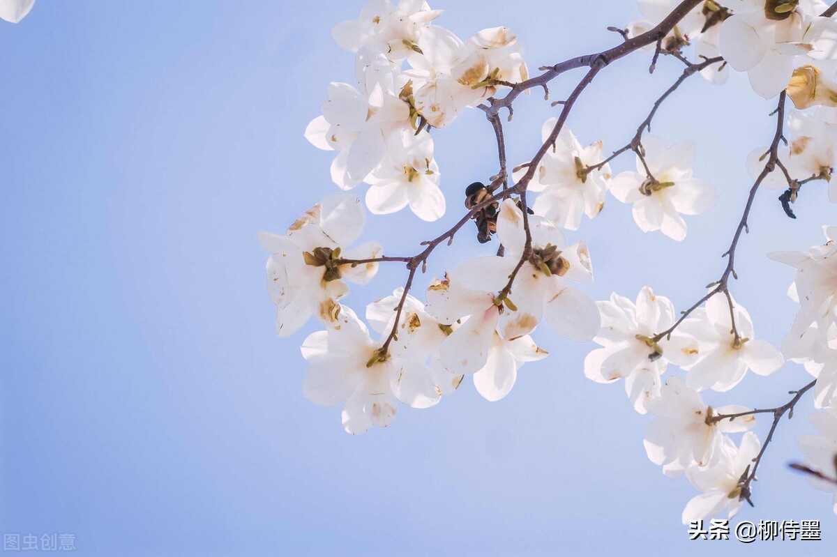 拍摄古建筑摄影技巧,古建筑双人拍照怎么拍出高级感