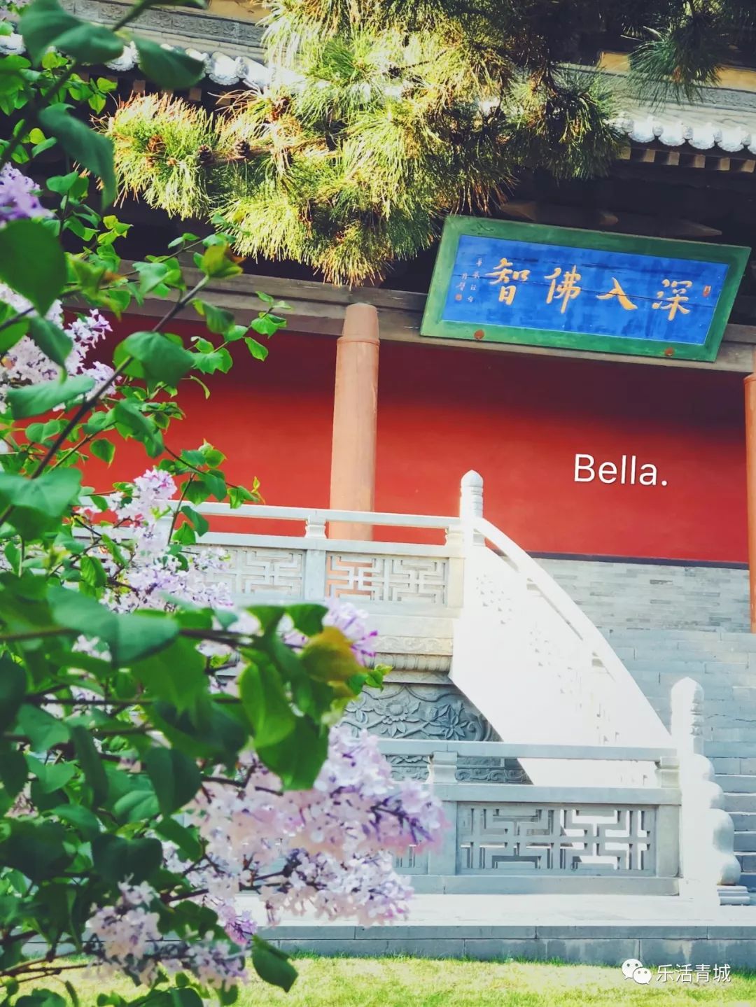 贝拉专访合集,贝拉专栏采访视频