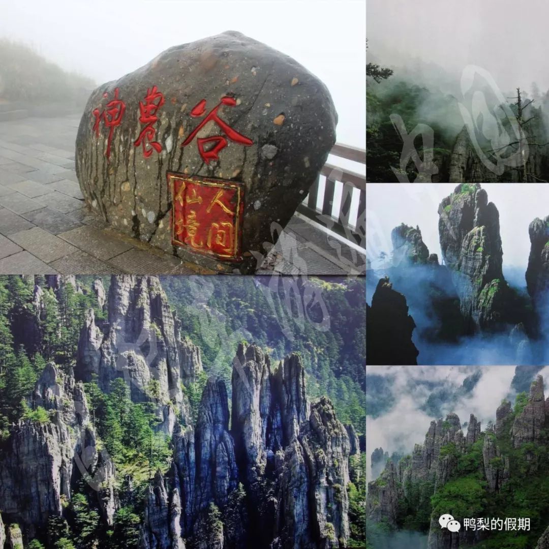 自驾车游遍中国之（一）——世界那么大，我想去神农架