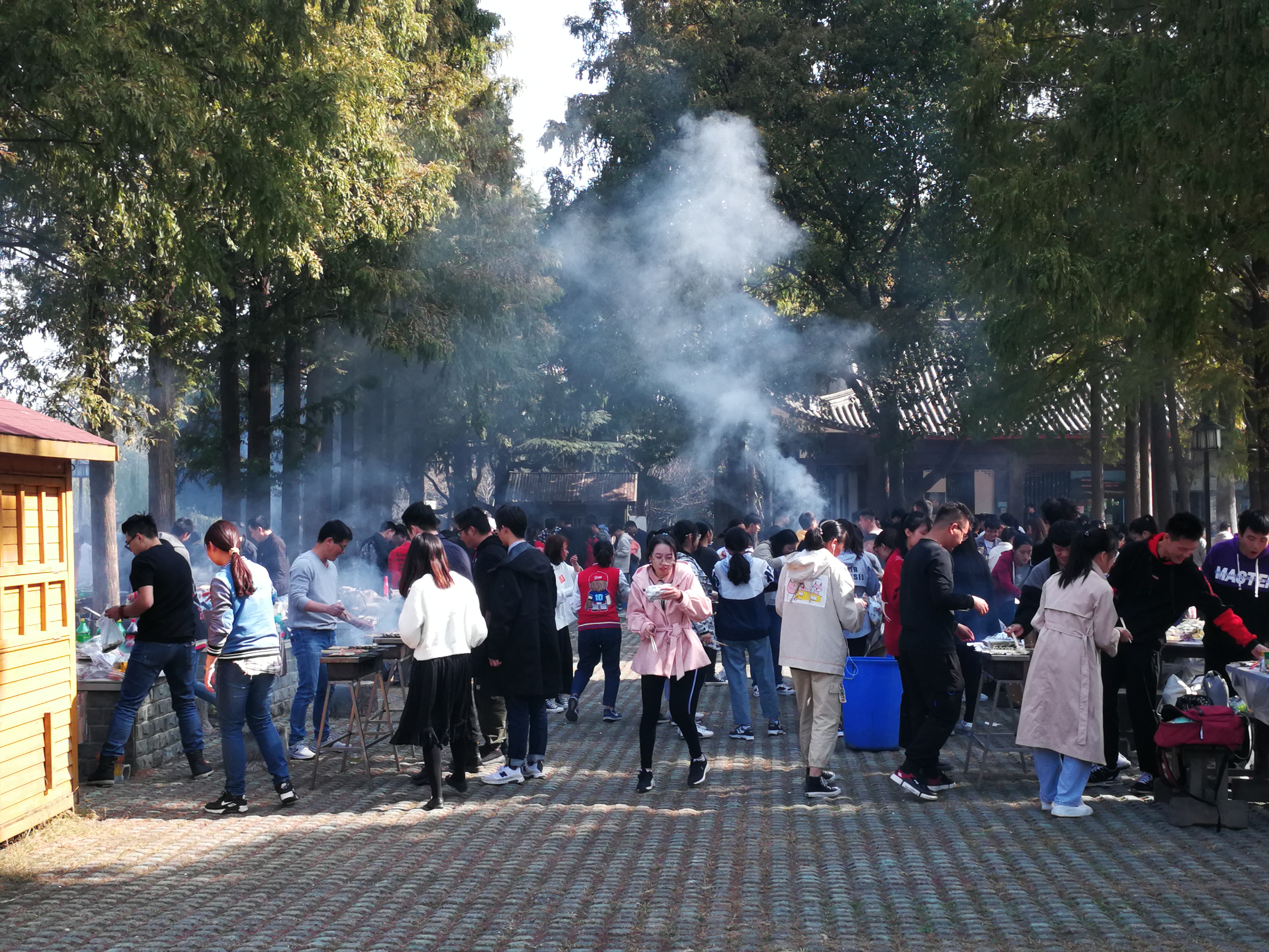 苏州上方山森林公园项目,苏州上方山森林公园好吗