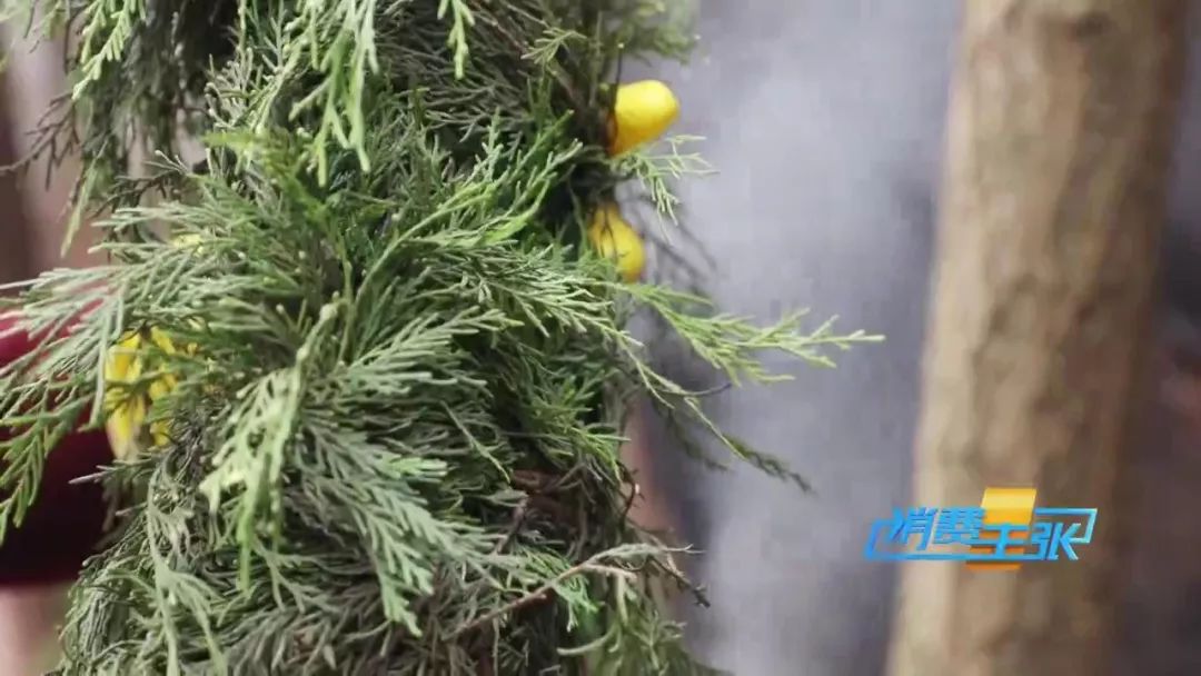 又到熏腊肉灌香肠的时节,做好的香肠在家熏腊肉