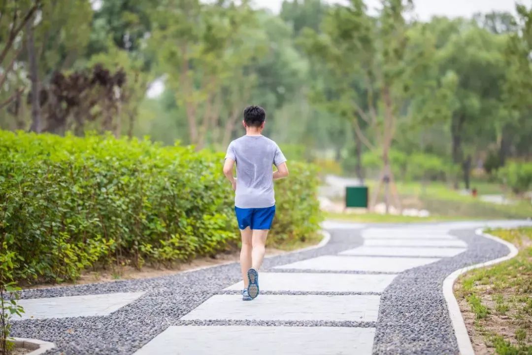 附近免费景点踏青网红打卡地,北京周边的四季花海