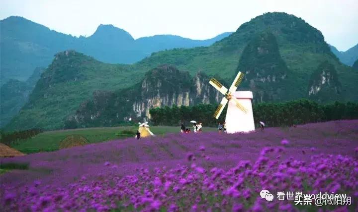 广西人丁最旺的地方,广西含硒最多的地方