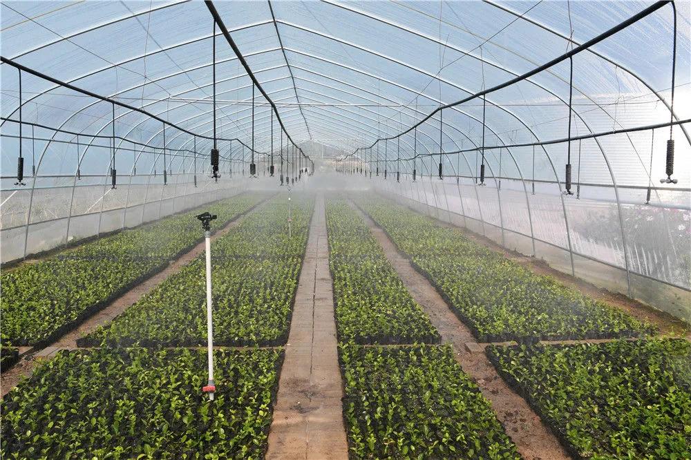 碧波奔流黄土坡——“引洮工程”的世纪圆梦故事