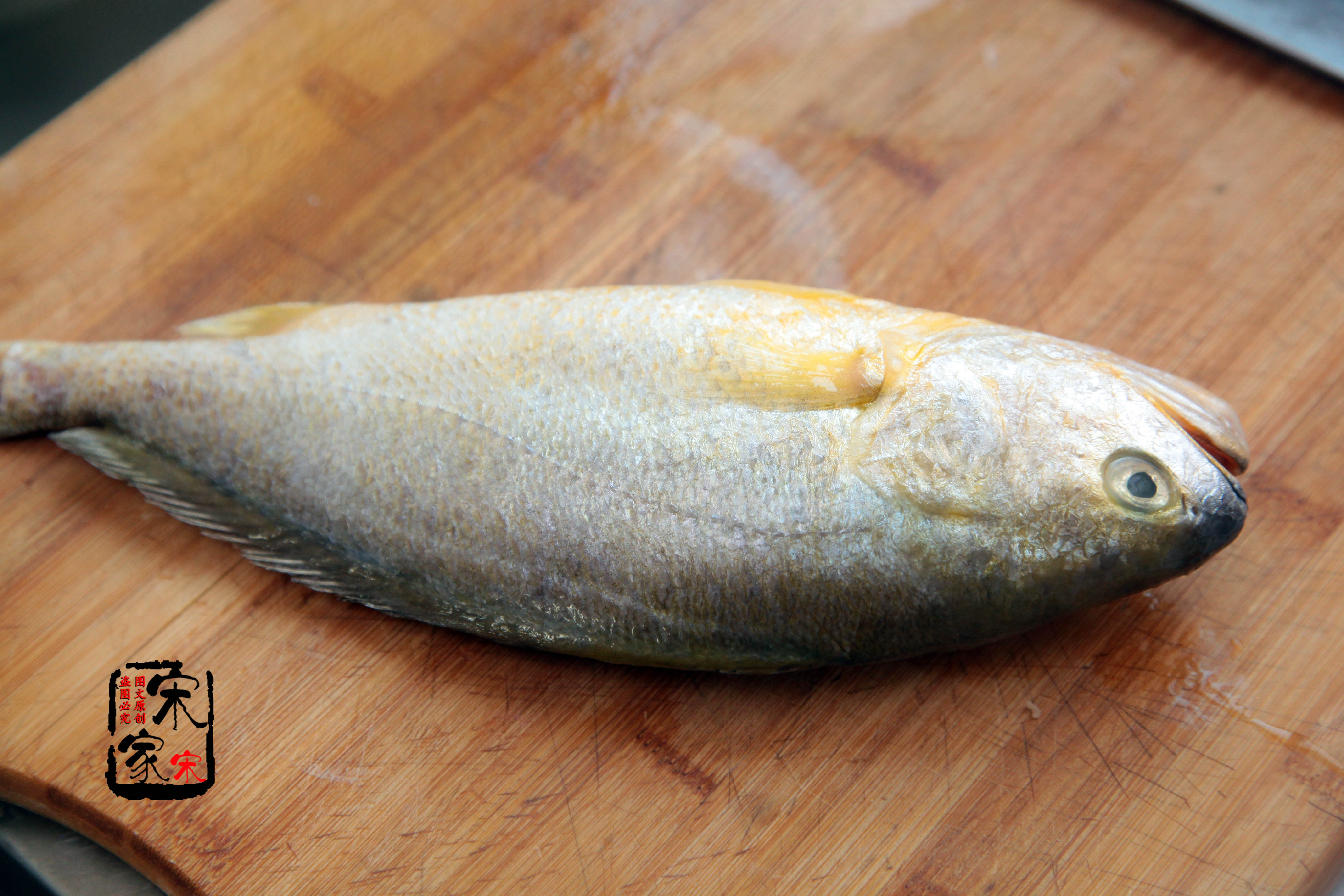 五星级大厨炖鱼视频,二十年大厨炖鱼配方