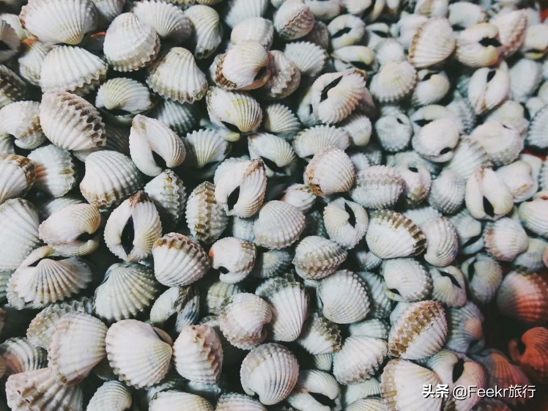 苍南早餐美食,苍南早餐