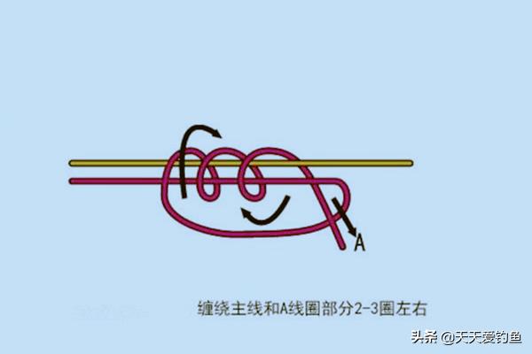 初学者钓鱼线组打结方法,钓鱼线组打结方法和技巧
