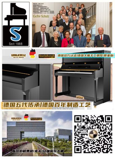 世界十大名琴斯坦伯格钢琴,六年的斯坦伯格钢琴还值钱吗